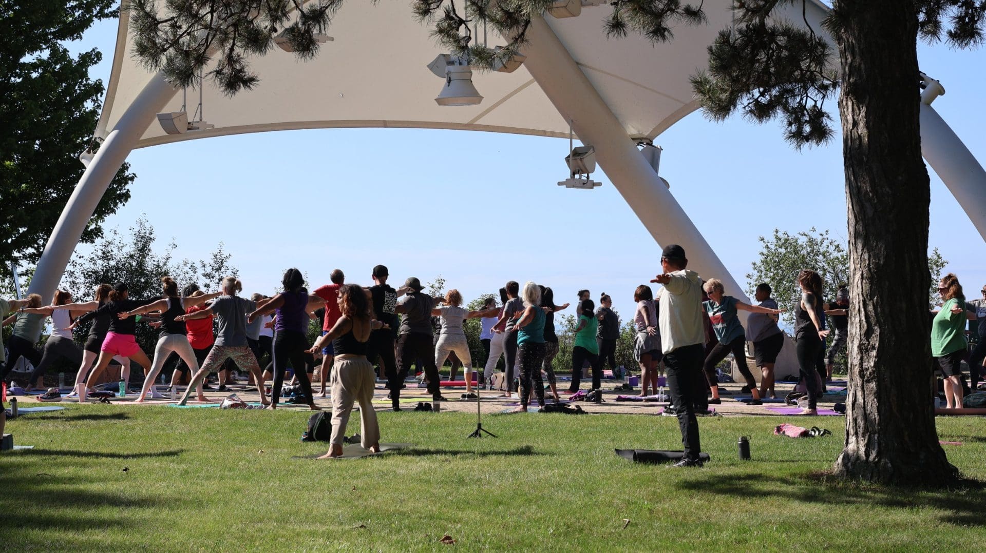Group yoga session in Waukegan park for community wellness.