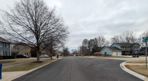 Waukegan street with new pavement and community landscaping.