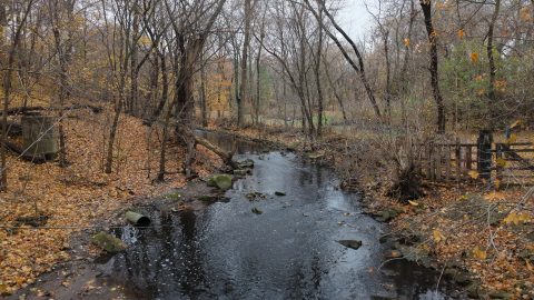 Waukegan River in autumn with trees and fallen leaves.
