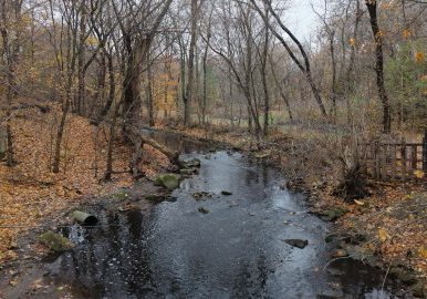 Waukegan River in autumn with trees and fallen leaves.
